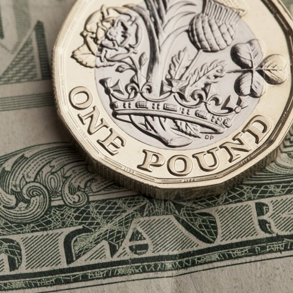  all-eyes-on-the-boes-august-policy-report 